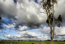 阿扎伦卡官方宣布持续失利新规，TES引发争议！